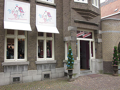 Baby Bird - Roermond