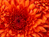 A4_160_gram