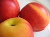Nectarine%27s