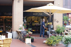 Winkels Eindhoven - Bloemkadotiek Aurora