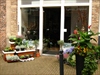 Winkels Zuid-Holland - Green Impulse
