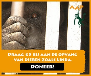 Dierenspeciaalzaak Lady