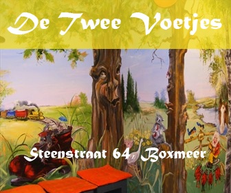 De twee voetjes kinderschoenen