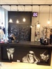 Winkels Eindhoven - Di Lucca Moda