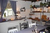 Winkels Noord-Brabant - Ellence Thee en Meer