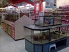 Winkels Roermond - Pets Place